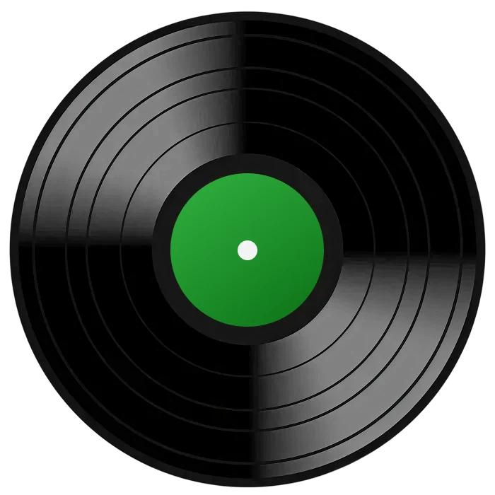 Vinyl record